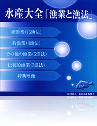 稚仔魚 変態 稚仔魚 変態