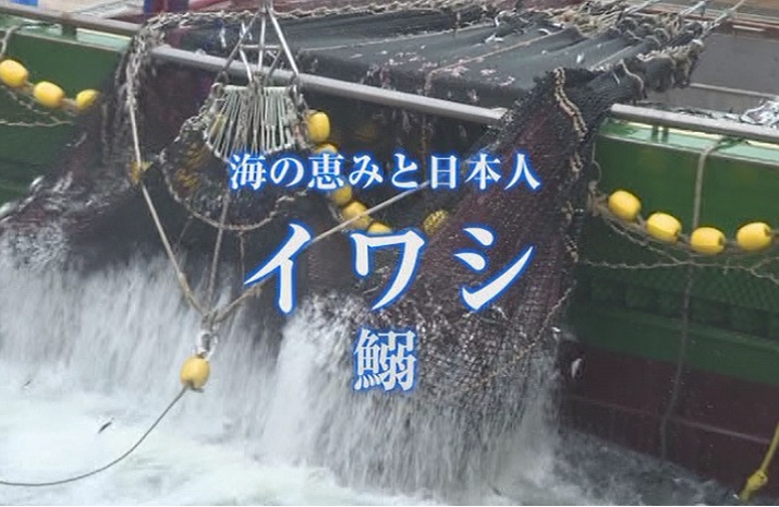平成27年度 水産映像 海の恵みと日本人　イワシ